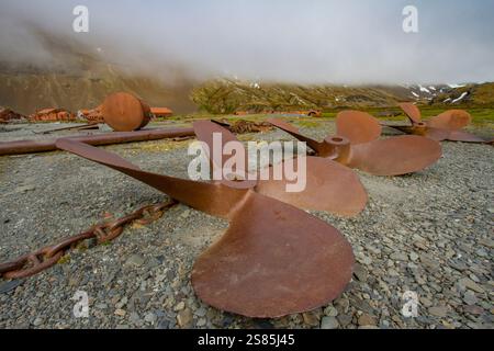 Vista della stazione baleniera abbandonata al porto di Stromness sull'Isola della Georgia del Sud, nell'Oceano meridionale Foto Stock