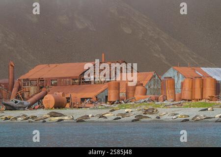 Vista della stazione baleniera abbandonata al porto di Stromness sull'Isola della Georgia del Sud, nell'Oceano meridionale Foto Stock