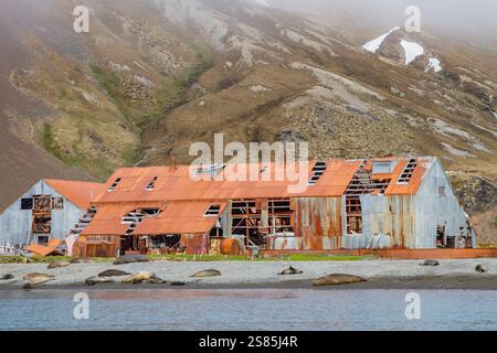 Vista della stazione baleniera abbandonata al porto di Stromness sull'Isola della Georgia del Sud, nell'Oceano meridionale Foto Stock