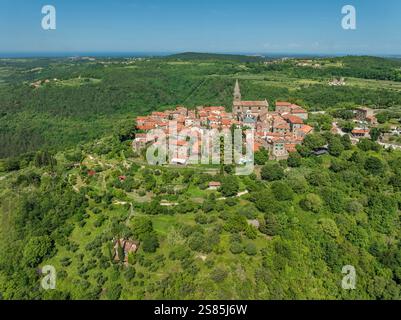 Grisignana in Istria, Croazia Foto Stock