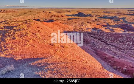 Vista dalla scogliera della Dead Wash Valley nel Petrified Forest National Park, al tramonto, Arizona, Stati Uniti d'America Foto Stock