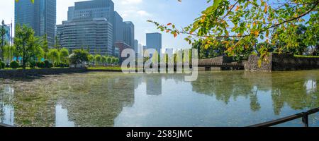Vista dei riflessi a Wadakura Moat in una giornata di sole, Chiyoda, Tokyo, Honshu, Giappone Foto Stock