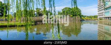 Vista dei riflessi a Wadakura Moat in una giornata di sole, Chiyoda, Tokyo, Honshu, Giappone Foto Stock