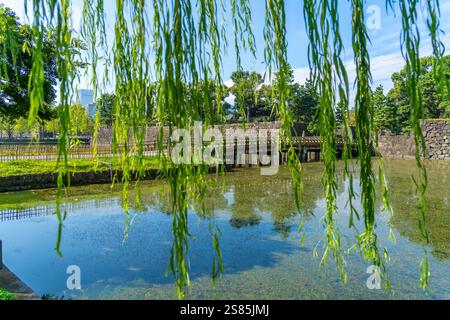 Vista dei riflessi a Wadakura Moat in una giornata di sole, Chiyoda, Tokyo, Honshu, Giappone Foto Stock