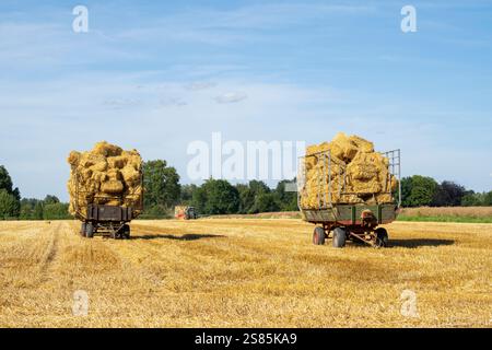 Carro per fieno su un campo di grano Foto Stock