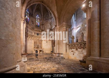Cattedrale metropolitana e basilica di Santa Thecla, Tarragona, Catalogna, Spagna Foto Stock