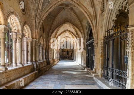 Cattedrale metropolitana e basilica di Santa Thecla, Tarragona, Catalogna, Spagna Foto Stock