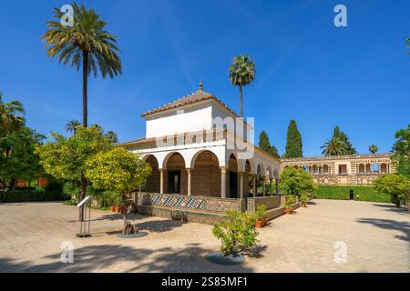 Giardini dell'Alcazar, Alcazar di Siviglia, UNESCO, Siviglia, Andalusia, Spagna Foto Stock