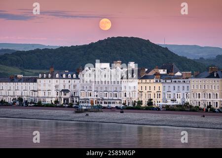Strawberry Moon si innalza su Llandudno Seafront, Llandudno, Conwy County Borough, Galles del Nord, Regno Unito, Europa Foto Stock
