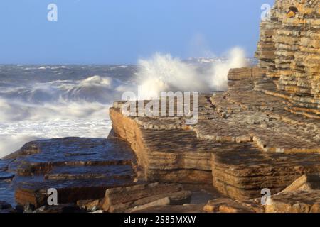 Scogliere calcaree, Dunraven Bay, Southerndown, vale of Glamorgan, Galles del Sud, Regno Unito Foto Stock