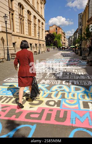 Scritta dipinta sul pavimento di via Franceza accanto al Museo Nazionale di storia rumena, quartiere Lipscani, città Vecchia, Bucarest, Romania Foto Stock