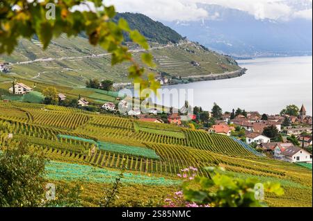 Villaggio di Cully circondato da terrazze di vigneti di Lavaux sulle rive del lago Leman, intorno a Losanna, Cantone di Vaud, Svizzera Foto Stock