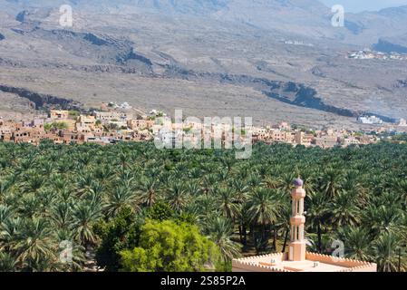 Villaggio di al-Hamra e palmeto, una città vecchia di 400 anni nella regione ad Dakhiliyah, monti Akhdar, Sultanato dell'Oman, Penisola Araba Foto Stock