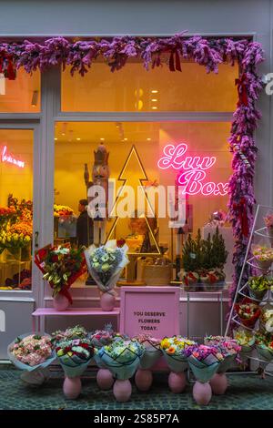 Negozio di fiori rosa Luv Box in Rue Bachaument a Natale, Parigi, Francia Foto Stock