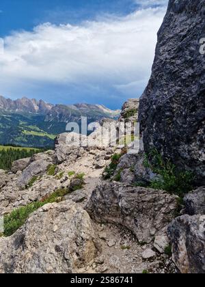 Sentiero roccioso che si snoda attraverso un paesaggio aspro, con scogliere ripide e vegetazione variegata, Sassolungo, Dolomiti, Italia Foto Stock