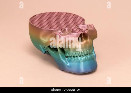 Moderna stampante 3d che crea un cranio in plastica colorata con riempimento a nido d'ape, che mostra l'innovazione nella tecnologia di produzione additiva Foto Stock