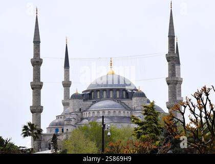 Hagia Sophia in primavera Foto Stock