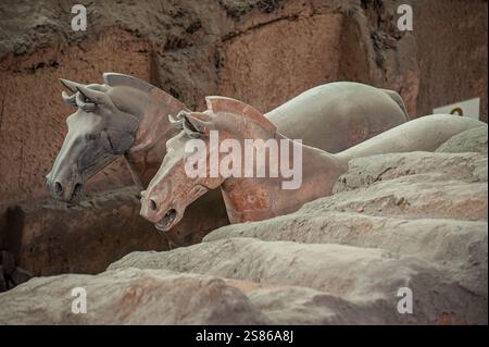 L'esercito di terracotta è composto da 8000 soldati, 130 carri con 520 cavalli e 150 cavalli di cavalleria, che furono sepolti insieme al primo imperatore della Cina Foto Stock