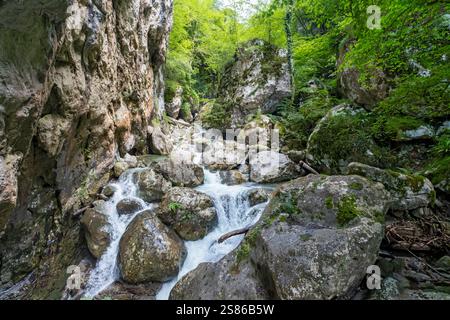 Sass Corbee, Lago di Como, Lago di Como, Italia Foto Stock