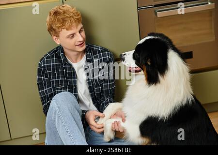 Giovane uomo interagisce amorevolmente con il suo carino pastore australiano in un accogliente appartamento moderno. Foto Stock