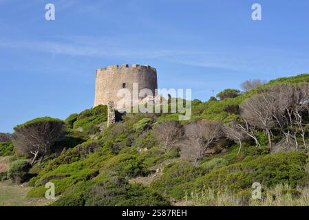 Torre di Longonsardo, Santa Teresa di Gallura, Sardegna, Italia Foto Stock