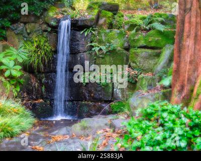 Cascata vicino al sottopassaggio che unisce le aree nord e sud di RHS Garden Rosemoor, Devon, Inghilterra, Regno Unito. Foto Stock