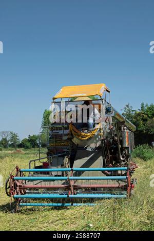 il conducente di una trebbiatrice dai colori vivaci lavora in una piccola fattoria di riso nella provincia di phetchabun, nella thailandia rurale Foto Stock