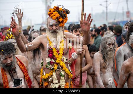 Processione sadhu di Naga a Maha Kumbh Mela 2025, Prayagraj, India Foto Stock