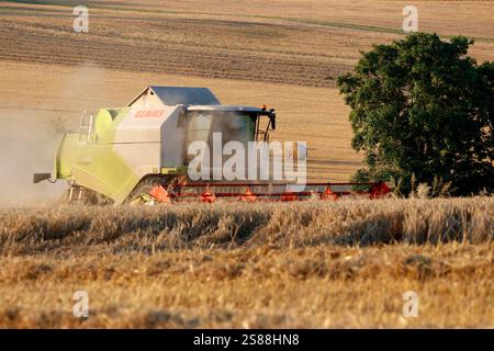 Impressionen: Maehdraescher, Gereideernte (nur fuer redaktionelle Verwendung. Keine Werbung. Referenzdatenbank: http://www.360-berlin.de. © Jens Knapp Foto Stock