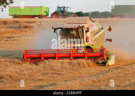 Impressionen: Maehdraescher, Gereideernte (nur fuer redaktionelle Verwendung. Keine Werbung. Referenzdatenbank: http://www.360-berlin.de. © Jens Knapp Foto Stock