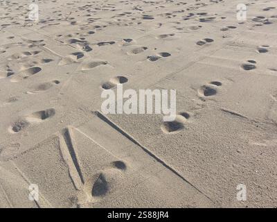 Spiaggia di sabbia Adriatico Budva, Montenegro Foto Stock