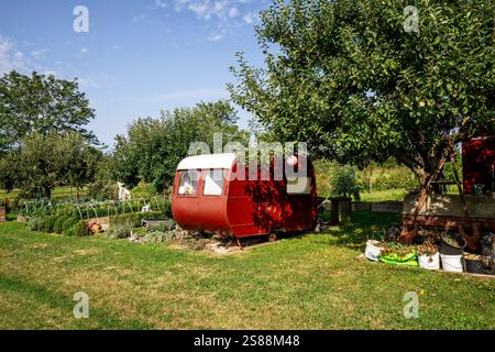 Orto con vecchie carovane e macchie di verdure Foto Stock