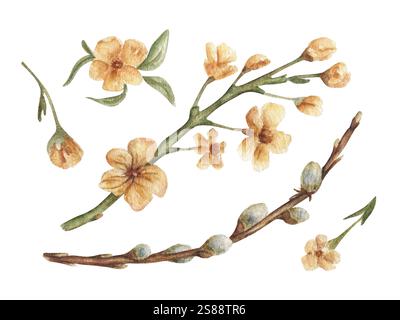 Una serie di rami di alberi fioriti, fiori gialli e un salice. Delicati elementi floreali per inviti di nozze e cartoline. Fiori gialli in acquerello. Foto Stock