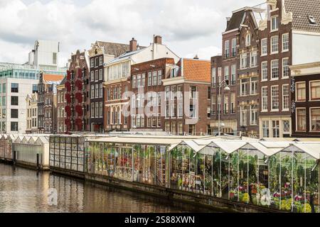 Mercato dei fiori galleggiante di Amsterdam e alte e strette case storiche lungo il Singel nel centro della capitale. Foto Stock