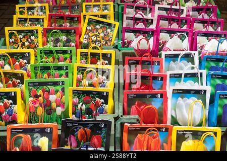 Borse colorate con diverse lampadine a tulipani in vendita al mercato galleggiante dei fiori di Amsterdam. Foto Stock