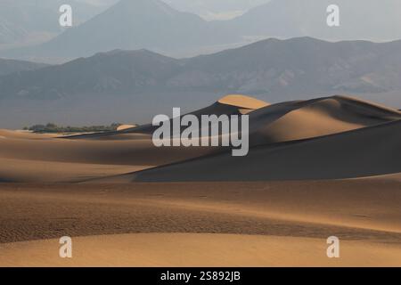 La luce dell'ora d'oro proietta ombre sulle dune di sabbia del Death Valley National Park, evidenziando le texture e le curve del deserto. Foto Stock