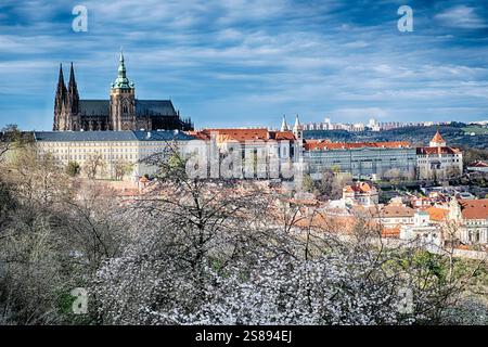 Una vista della Cattedrale di San Vito e dell'Hradcany dal Parco Petrin che si affaccia sulla città di Praga. Foto Stock