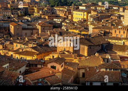 Una vista aerea dei tetti di Siena nel tardo pomeriggio dal Panorama dal Facciatone, Siena, Italia Foto Stock