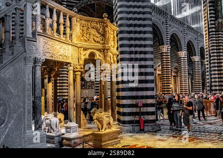 Il Pulpito opera di Nicola Pisano all'interno della Cattedrale di Siena, una chiesa medievale del XIII secolo con mura e pilastri a righe bianche e nere, Siena, Italia Foto Stock
