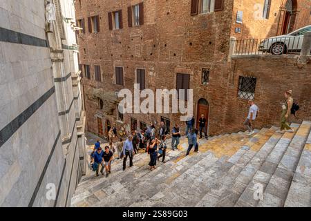 Le persone salgono i ripidi gradini di marmo sul retro della Cattedrale di Siena in Piazza San Giovanni a Siena, Italia Foto Stock
