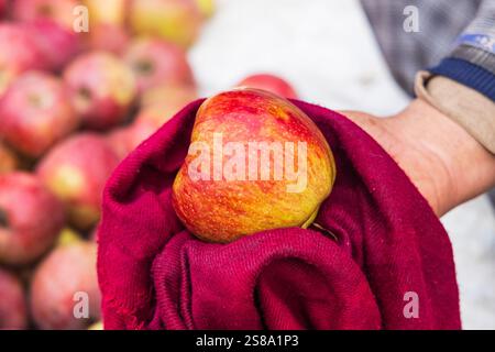 Raiyar Beruwa, Khan Sahib Tehsil, Jammu e Kashmir, India. Mele appena raccolte. Foto Stock
