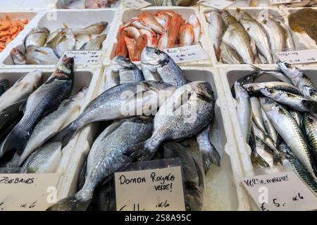Paesi Bassi, Paesi Bassi. Rotterdam. Mercato del pesce all'aperto. Foto Stock