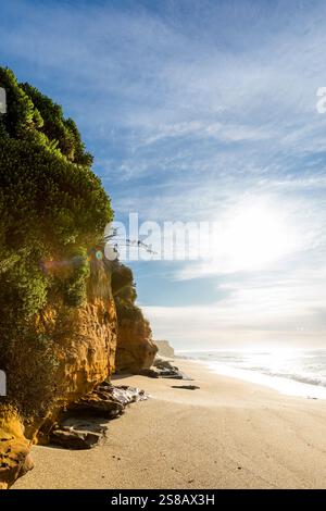 Mitchell Rocks, regione di Otago, nuova Zelanda Foto Stock