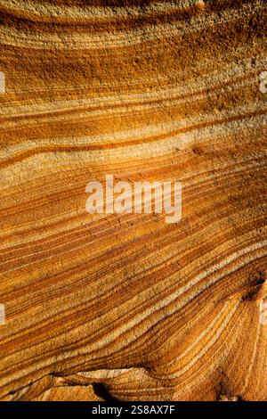 Linee fluide di arenaria stratificata o laminata, Mitchell Rocks, regione di Otago, nuova Zelanda Foto Stock