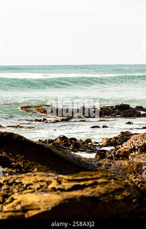Mitchell Rocks, regione di Otago, nuova Zelanda Foto Stock