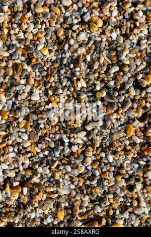 Ciottoli sulla spiaggia, Mitchell Rocks, regione di Otago, nuova Zelanda Foto Stock