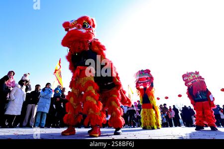 Zhangye, Cina. 22 gennaio 2025. Gli amanti del patrimonio culturale immateriale eseguono una danza del leone per i turisti nella piazza culturale del villaggio di Zhenjiang, città di Heiquan, contea di Gaotai, a Zhangye, Cina, il 21 gennaio 2025. (Foto di Costfoto/NurPhoto) credito: NurPhoto SRL/Alamy Live News Foto Stock