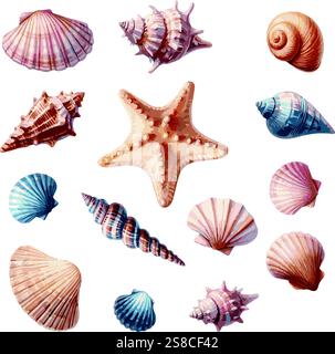 Collezione di bellissime conchiglie di mare dipinte ad acquerello e stelle marine isolate su sfondo bianco Illustrazione Vettoriale