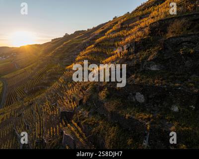Terrazze di vigneti nella valle della Mosella al tramonto, riprese aeree con droni, la famosa regione vinicola tedesca della Mosella, il fiume Mosella Foto Stock