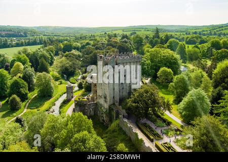 Castello di Blarney, roccaforte medievale di Blarney, vicino a Cork, noto per la sua leggendaria pietra magica di Blarney, nota anche come pietra di Eloquence, e reno Foto Stock
